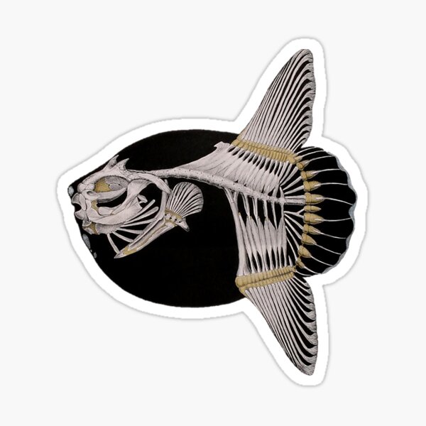 Blue Flower Mola Mola Sunfish Skeleton Sticker for Sale by BelleZeare