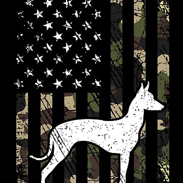 Imagen de la obra Xoloitzcuintli Camouflage USA Flag de rafaeltto