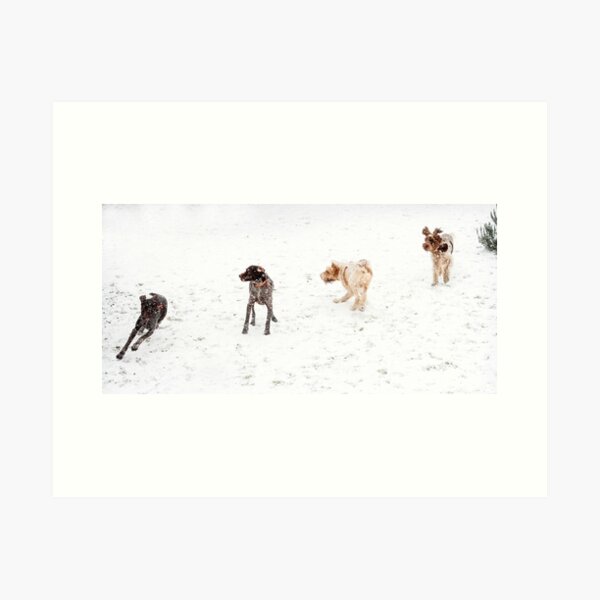 Four dogs in a row in the snow Art Print
