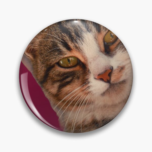Item preview, Sweet pink cat designed and sold by Rejcharms.