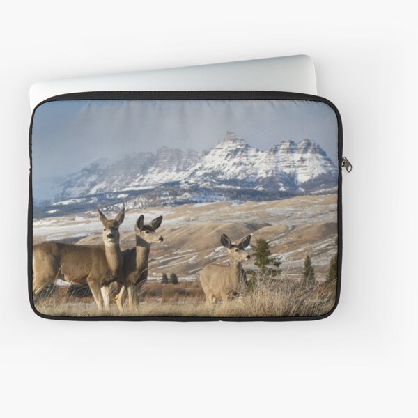 Ramshorn - What A Setting for These Blacktail Deer Laptop Sleeve