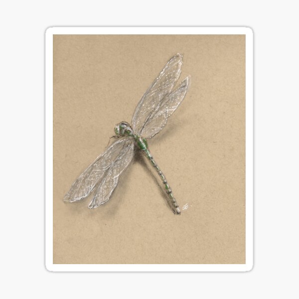 Dragonfly Sticker