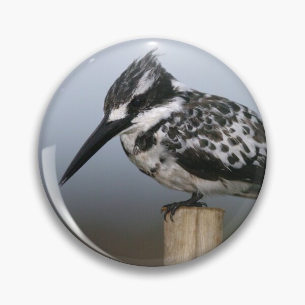 Item preview, Pied Kingfisher 2 designed and sold by quentinjlang.