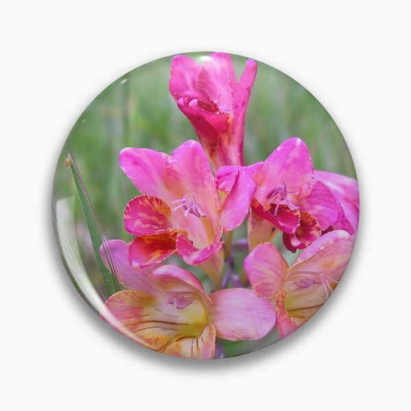 Item preview, Pink Freesias designed and sold by Kiran-Fine-Art.