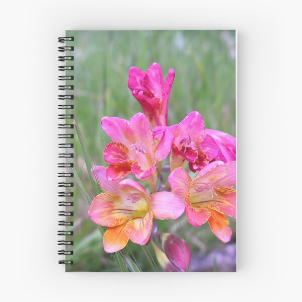 Item preview, Pink Freesias designed and sold by Kiran-Fine-Art.