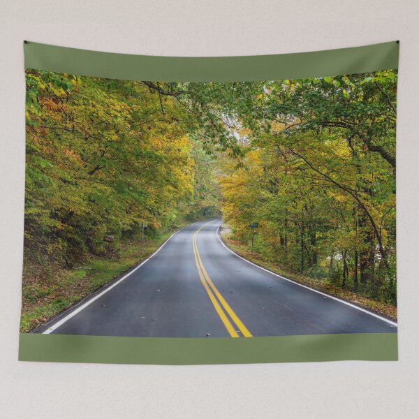 Item preview, Fall Season Tree Lined Road designed and sold by mljdwhite.