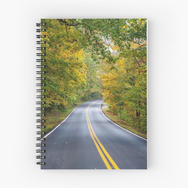 Item preview, Fall Season Tree Lined Road designed and sold by mljdwhite.