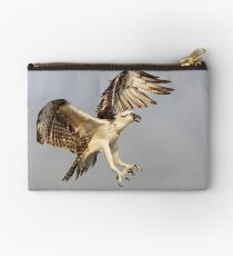 Osprey (Pandion haliaetus) Studio Pouch