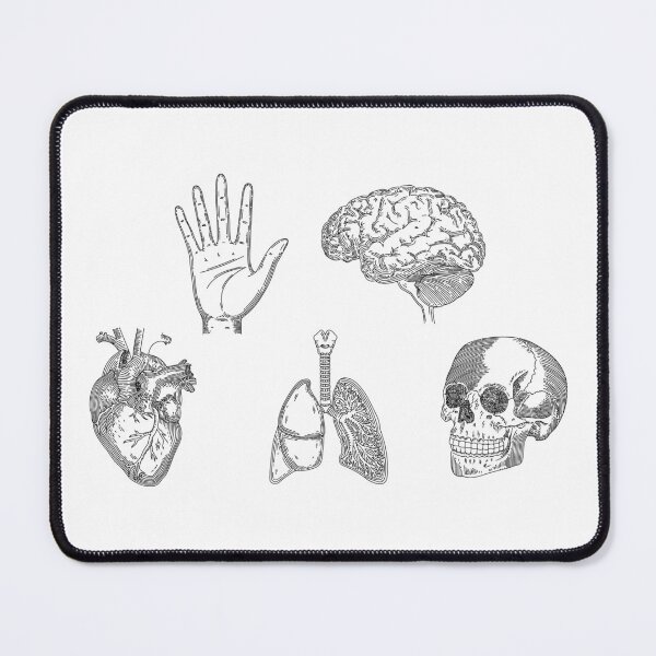 Item preview, human anatomy designed and sold by zaher97.
