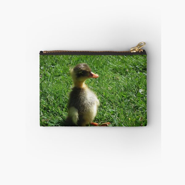 Item preview, my running Duckling designed and sold by Roswitha Lorz.
