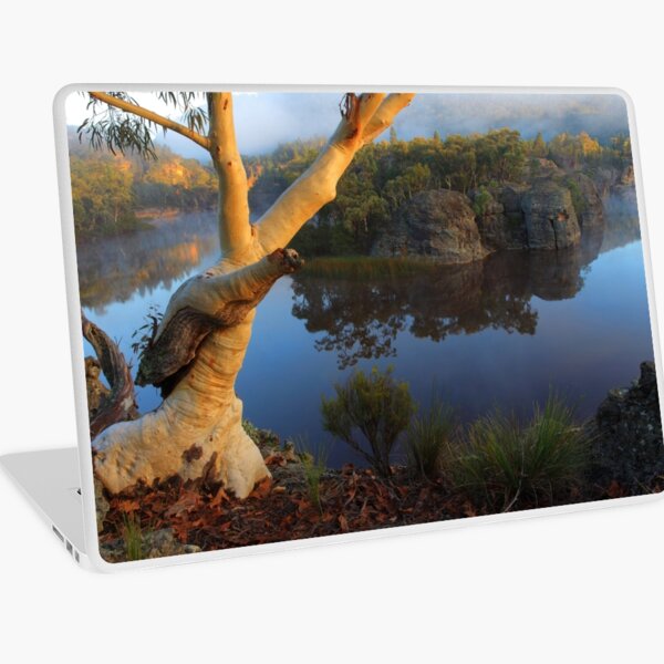 Dunns Swamp Laptop Skin