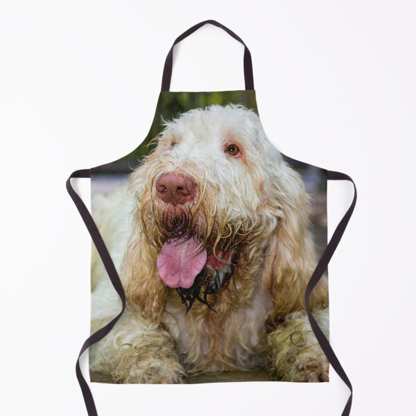 Item preview, Lying down looking up Spinone designed and sold by FOLK ART FUSION by heidiannemorris.