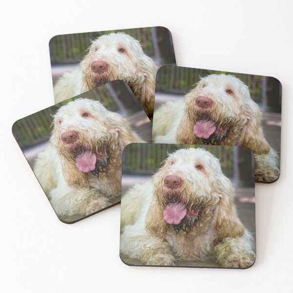 Item preview, Lying down looking up Spinone designed and sold by FOLK ART FUSION by heidiannemorris.