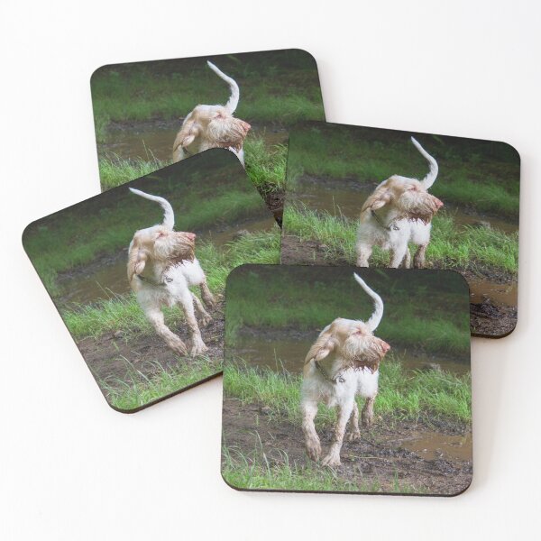 Item preview, Puddle explorer Spinone by heidiannemorris designed and sold by FOLK ART FUSION by heidiannemorris.