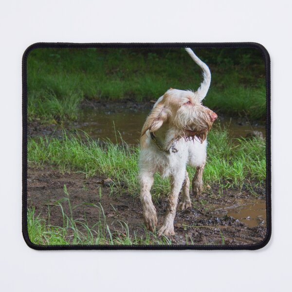 Item preview, Puddle explorer Spinone by heidiannemorris designed and sold by FOLK ART FUSION by heidiannemorris.