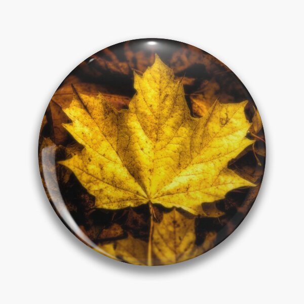 Item preview, Maple Leaf - Autumn Leaves designed and sold by James DeFazio.