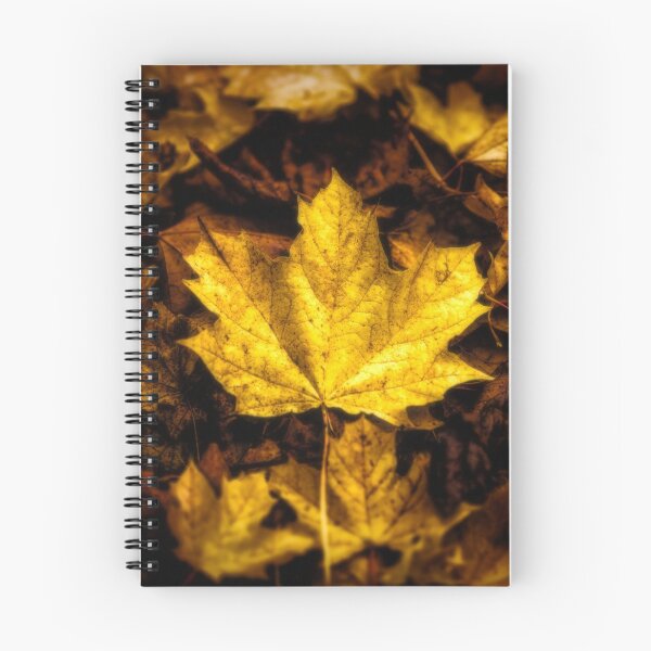 Item preview, Maple Leaf - Autumn Leaves designed and sold by James DeFazio.