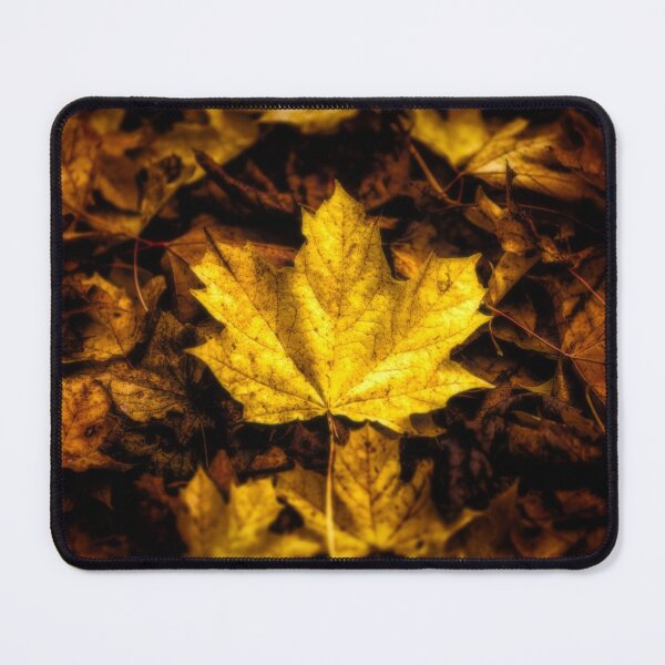 Item preview, Maple Leaf - Autumn Leaves designed and sold by James DeFazio.