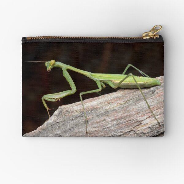 False Garden Mantis - Pseudomantis albofimbriata Zipper Pouch