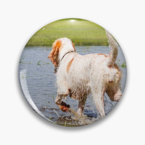 Item preview, Tail in the air Splashing Spinone designed and sold by FOLK ART FUSION by heidiannemorris.