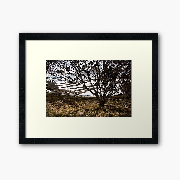 Item preview, Charlotte Pass designed and sold by Downunder Views.