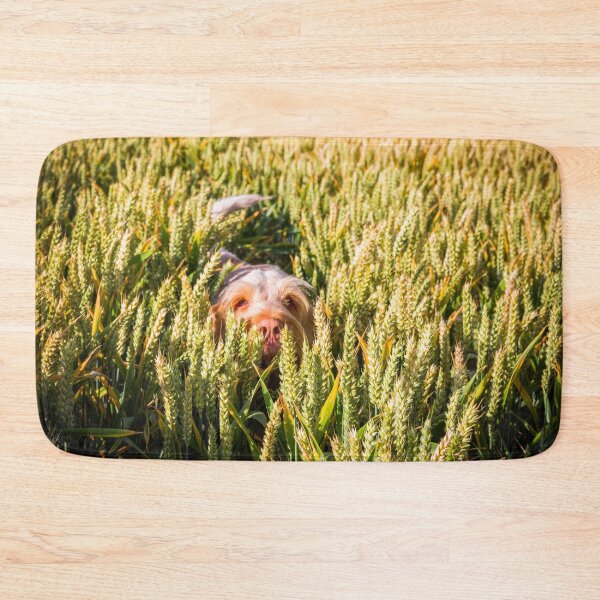 Item preview, Hiding in the Wheat Spinone designed and sold by FOLK ART FUSION.
