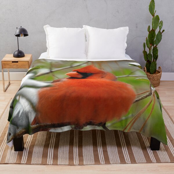 Item preview, Northern Cardinal Print designed and sold by Paul-Prints.