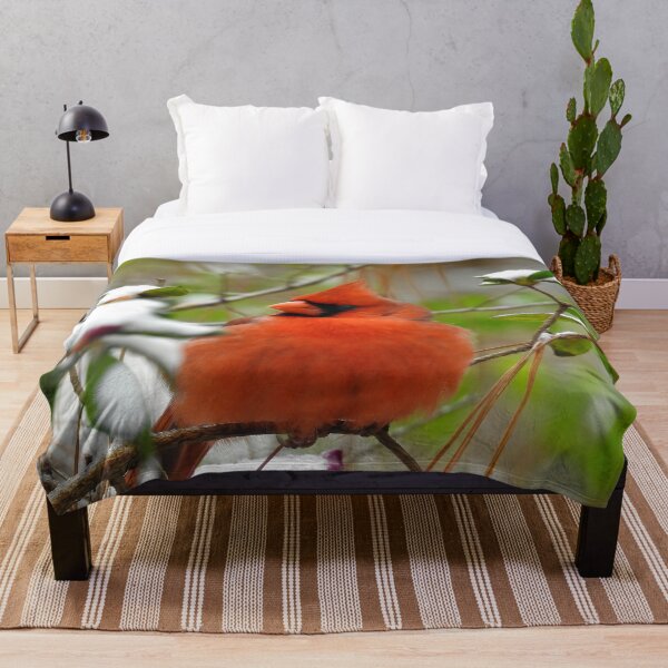 Item preview, Northern Cardinal Print designed and sold by Paul-Prints.