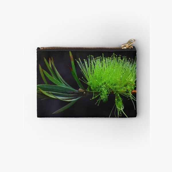 Item preview, Callistemon pachyphyllus designed and sold by andrachne.