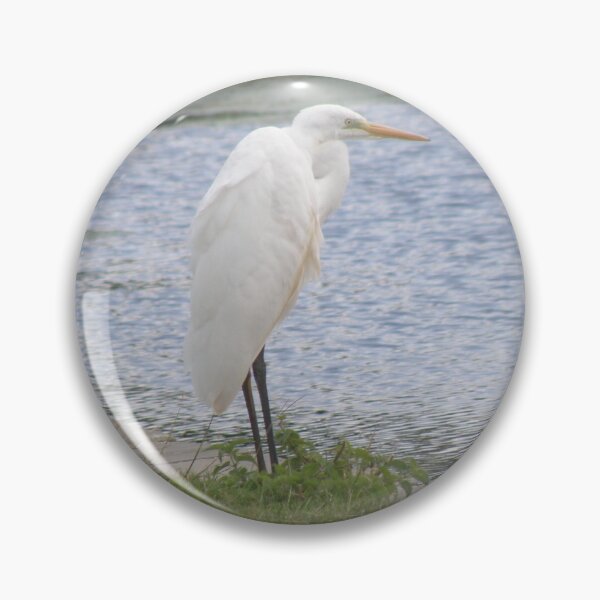 Item preview, Great White Egret and Water Photograph designed and sold by naturegallery.