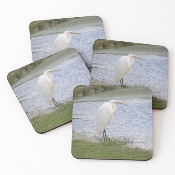 Item preview, Great White Egret and Water Photograph designed and sold by naturegallery.