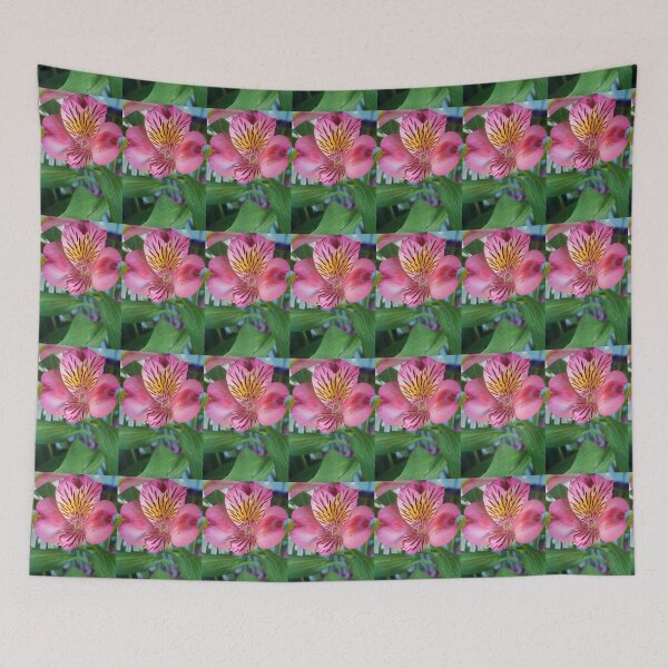 Item preview, Pink Peruvian Lily designed and sold by Bill Spengler's Photographic Thoughts.