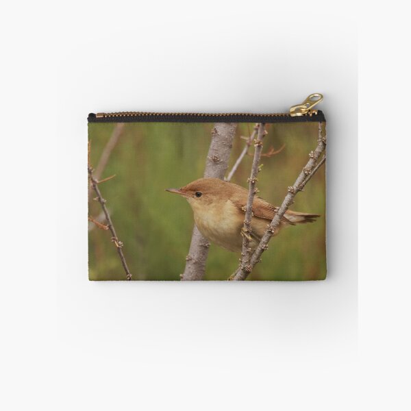 Item preview, Willow warbler designed and sold by miradorpictures.