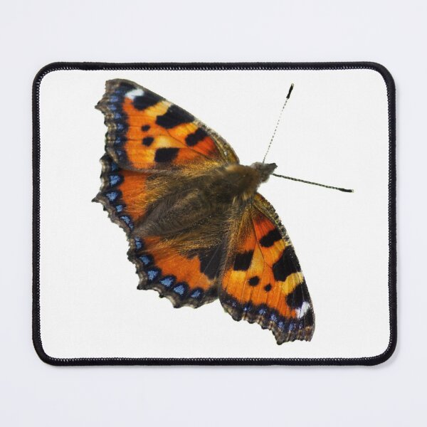 Item preview, Tortoiseshell butterfly from Dove Stone Reservoir Sep-2020 designed and sold by PicsByTony.