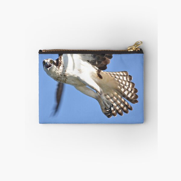 Item preview, Looking at me designed and sold by Carl LaCasse.