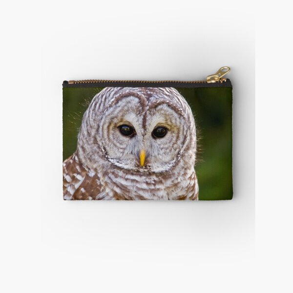 Artikelvorschau, Teddy....Barred Owl entworfen und verkauft von Sue Ratcliffe.