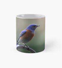 Western Bluebird Mug