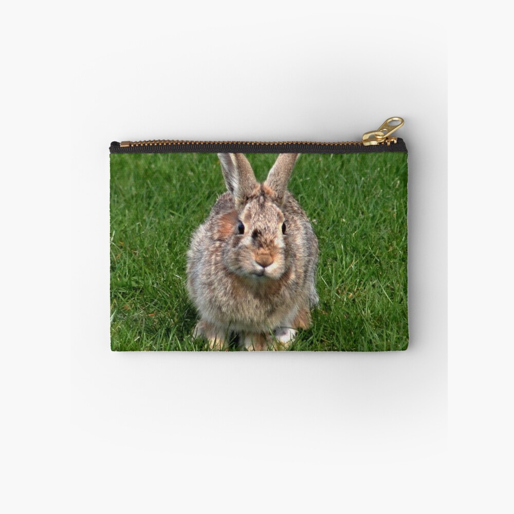 Item preview, Zipper Pouch designed and sold by AnnDixon.