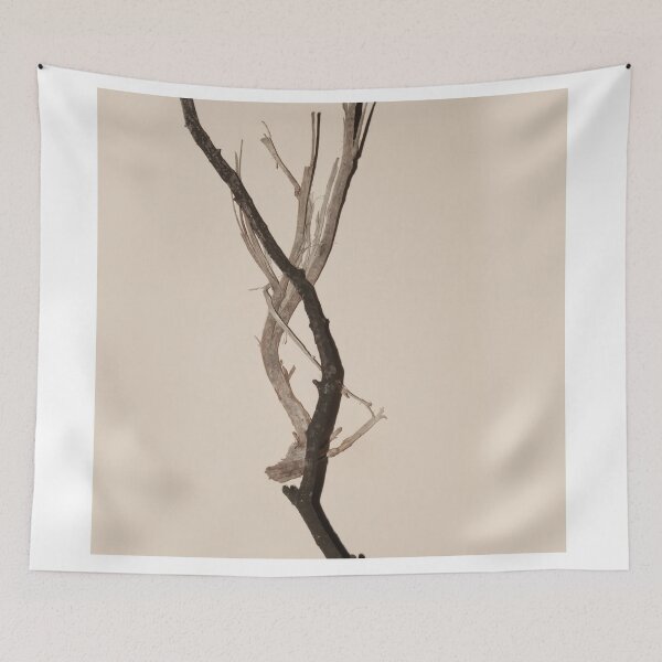 Item preview, Wither designed and sold by Shawa Shop.