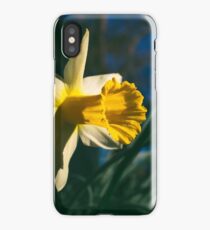 Narcissus iPhone Case/Skin