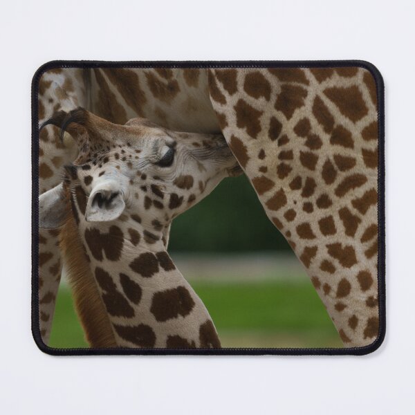 Item preview, Mother and Baby Giraffe designed and sold by rawshutterbug.