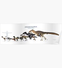 Dromaeosaurid Dinosaurs of north America Poster
