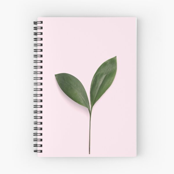 Item preview, Newborn rubber tree designed and sold by Shawa Shop.