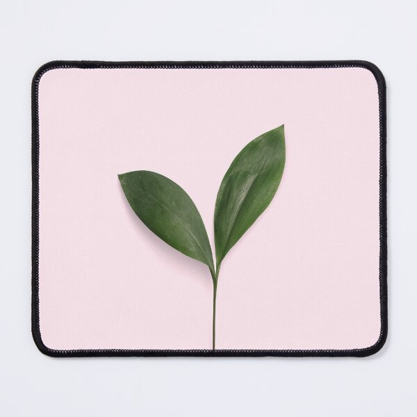 Item preview, Newborn rubber tree designed and sold by Shawa Shop.