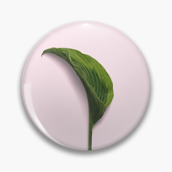 Item preview, Beginning designed and sold by Shawa Shop.