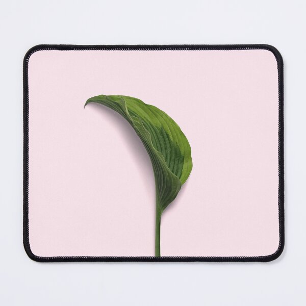 Item preview, Beginning designed and sold by Shawa Shop.