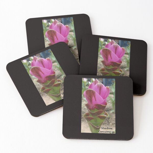 Item preview, Shadow is common name in Curcuma sp. variety  designed and sold by greengoodnich.
