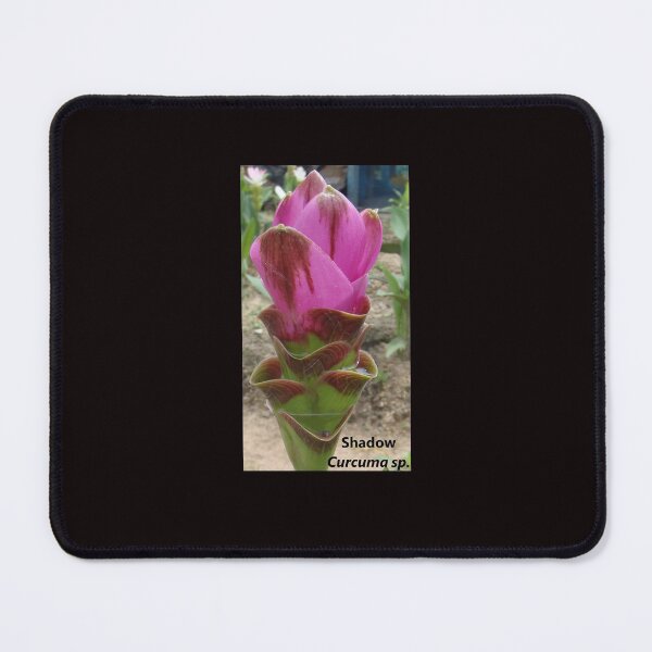 Item preview, Shadow is common name in Curcuma sp. variety  designed and sold by greengoodnich.