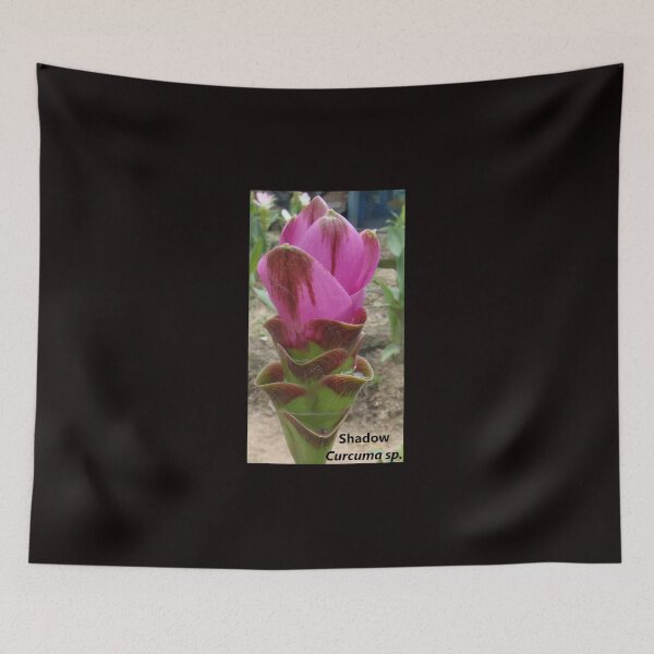 Item preview, Shadow is common name in Curcuma sp. variety  designed and sold by greengoodnich.