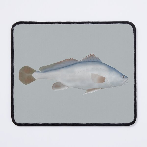 Item preview, Boeseman Croaker designed and sold by fishfolkart.